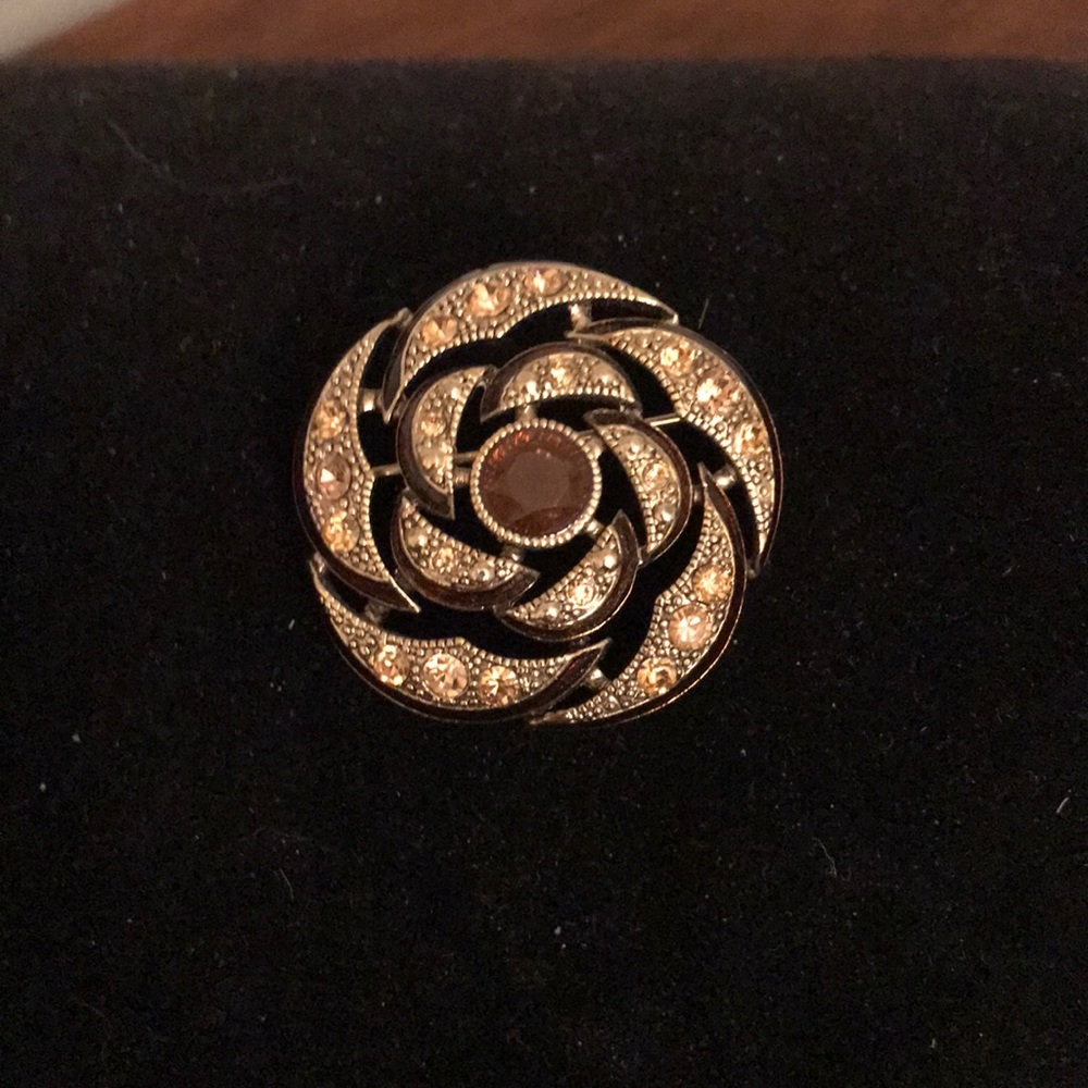 Brown Beaded Pin